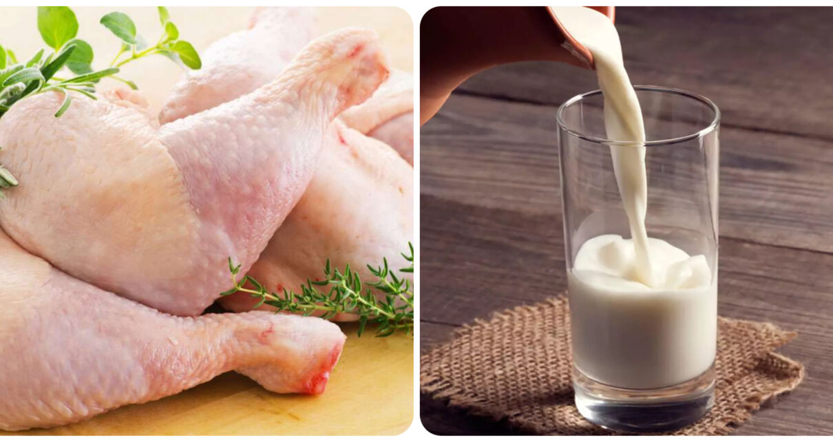 Kết hợp sữa và thịt gà sẽ dẫn đến các nguy hại cho cơ thể
