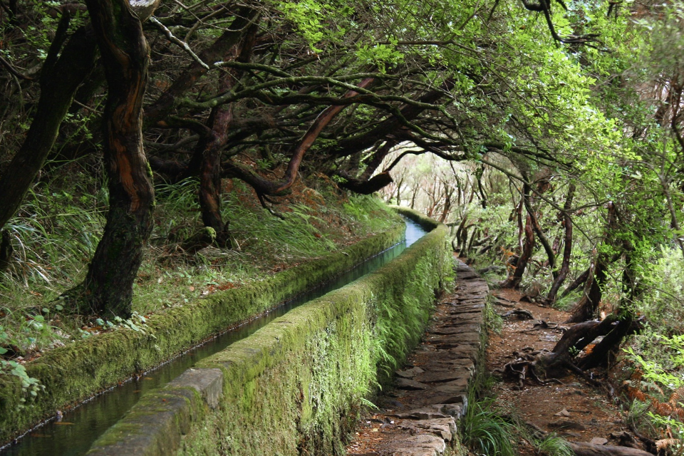 Madeira - Khu vườn nổi Đại Tây Dương